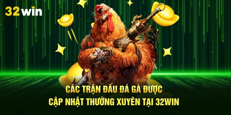 Các trận đấu đá gà được cập nhật thường xuyên tại 32Win