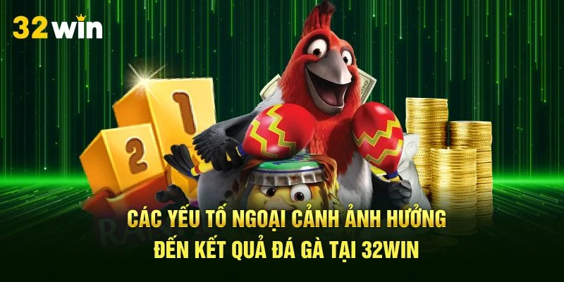 Các yếu tố ngoại cảnh ảnh hưởng đến kết quả đá gà tại 32Win